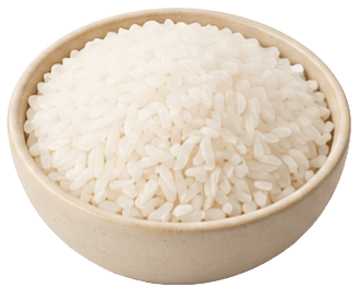 Paddy Rice