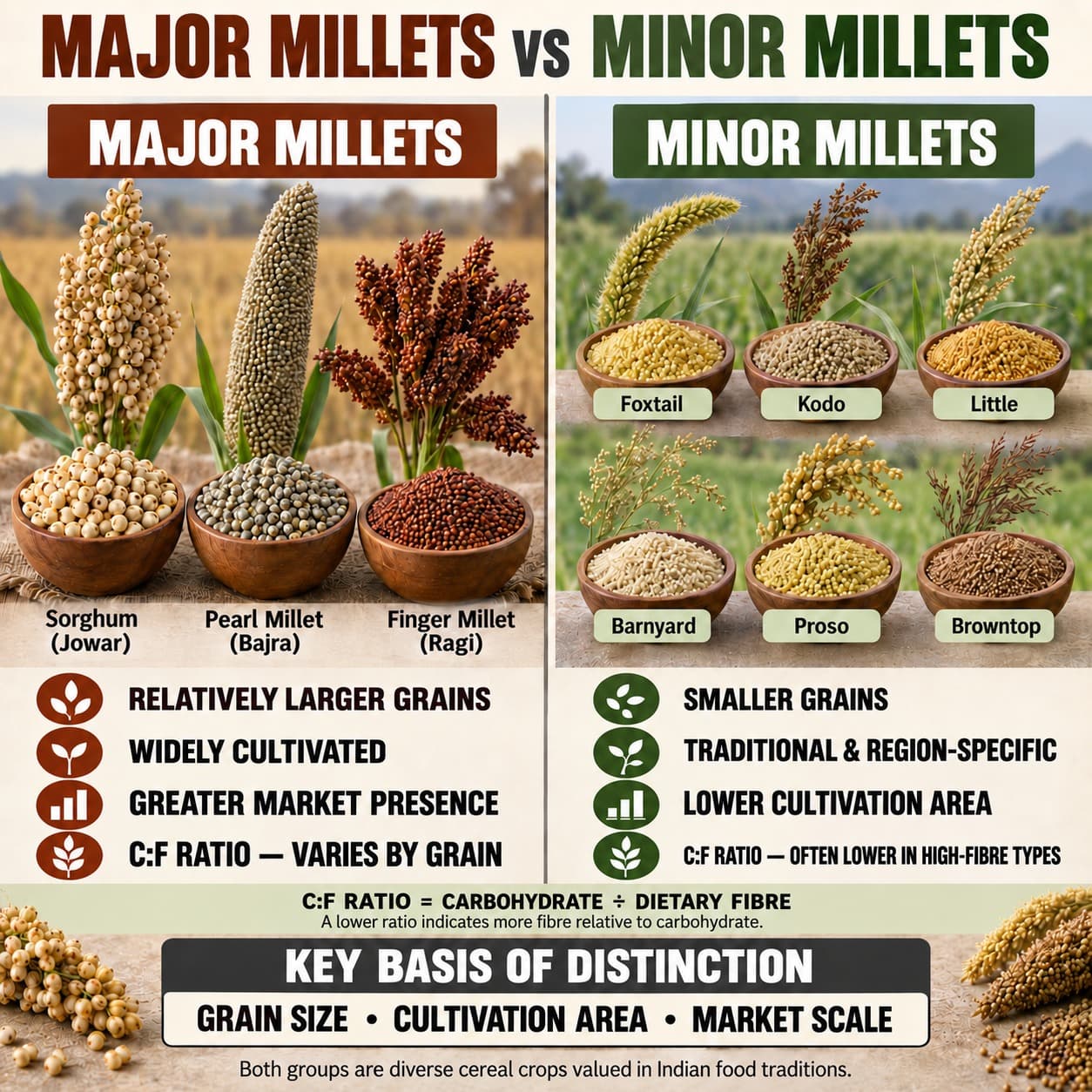Major v/s minor millets difference